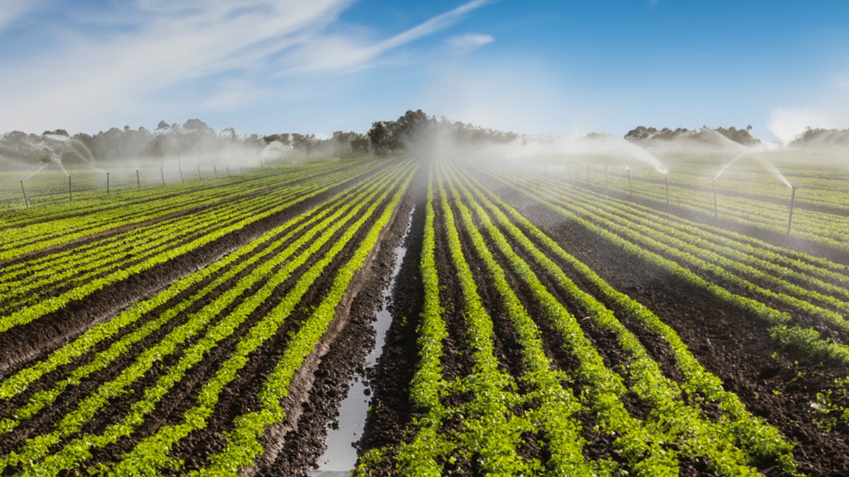 Shallow focus closeup shot of a droplet of dew on the grass with bokeh background